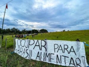 Leia mais sobre o artigo Artigo | Reforma Agrária: ocupar o território brasileiro para alimentar o povo